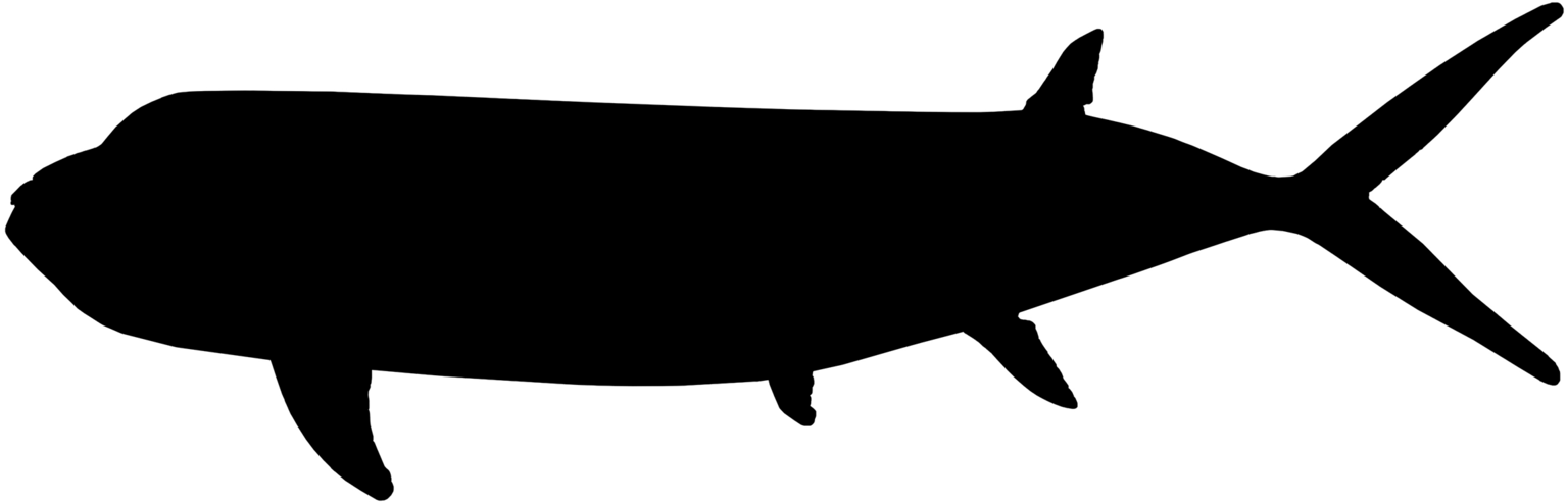 Ichthyodectes ctenodon