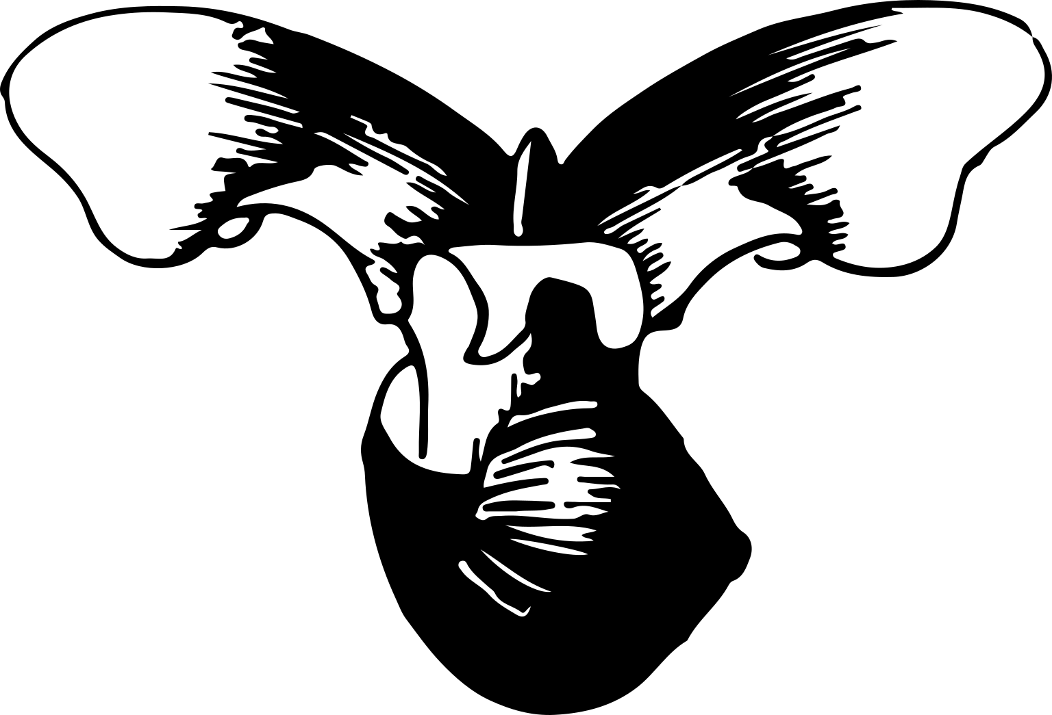 Pteropoda
