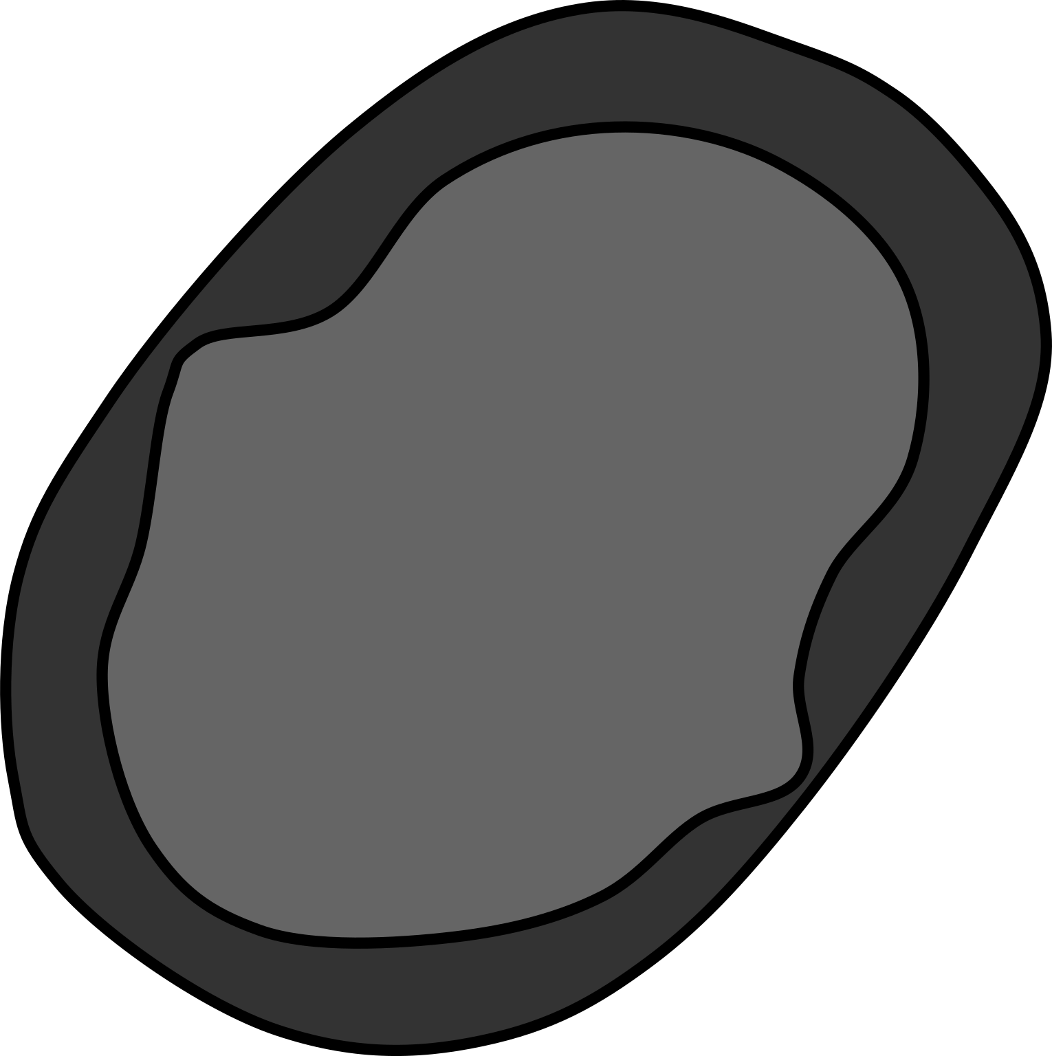 Poribacteria morphotype 2