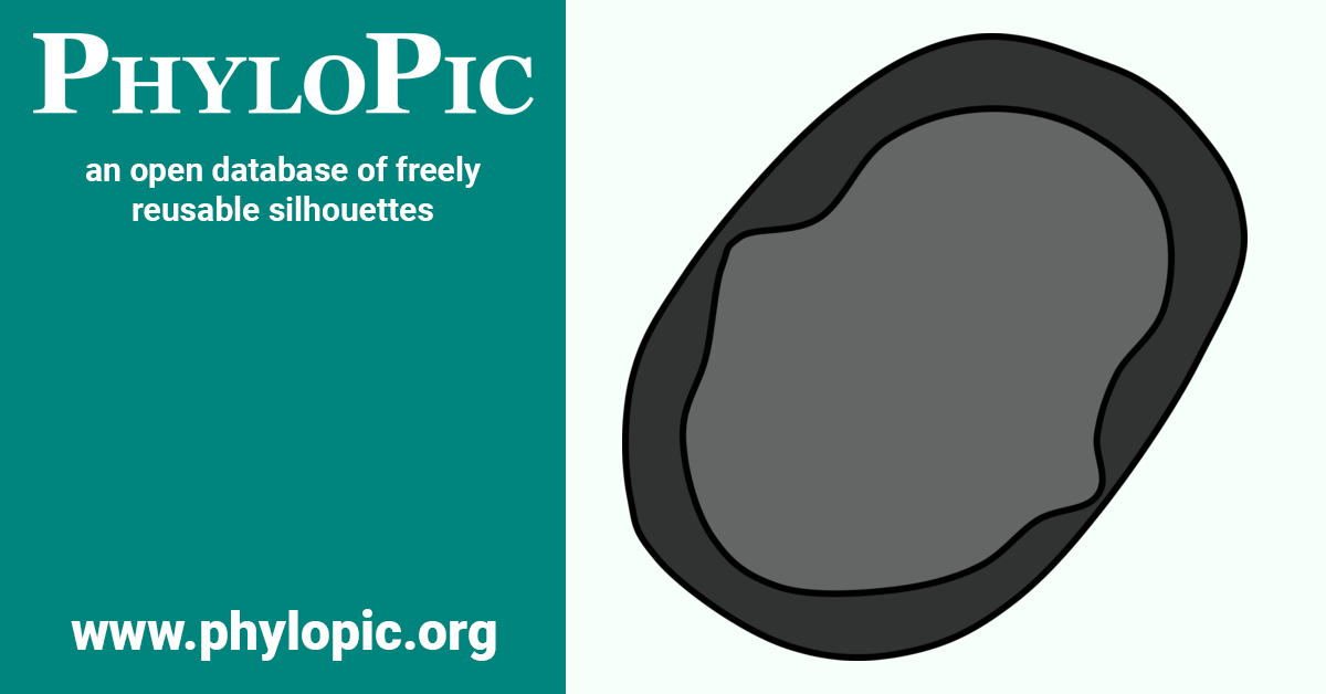 Morphotyp Poribacteria morphotype 2 by Matt Crook (CC BY-SA 3.0) - PhyloPic
