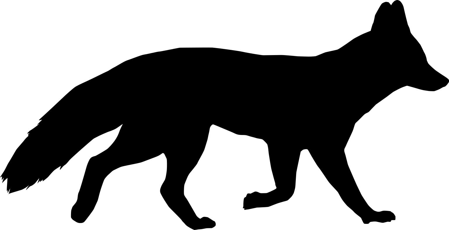 Lycalopex griseus