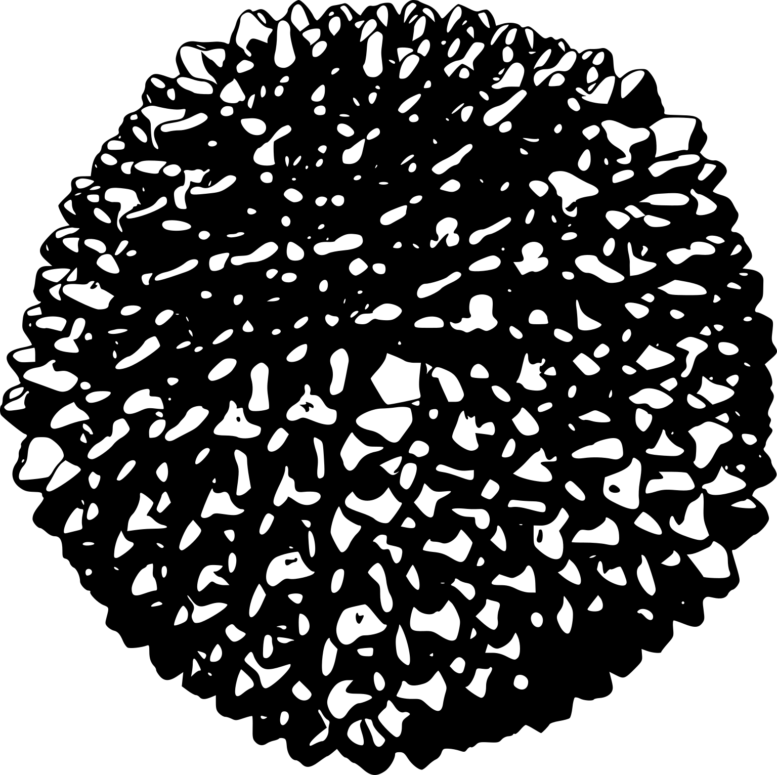 Tectiviridae