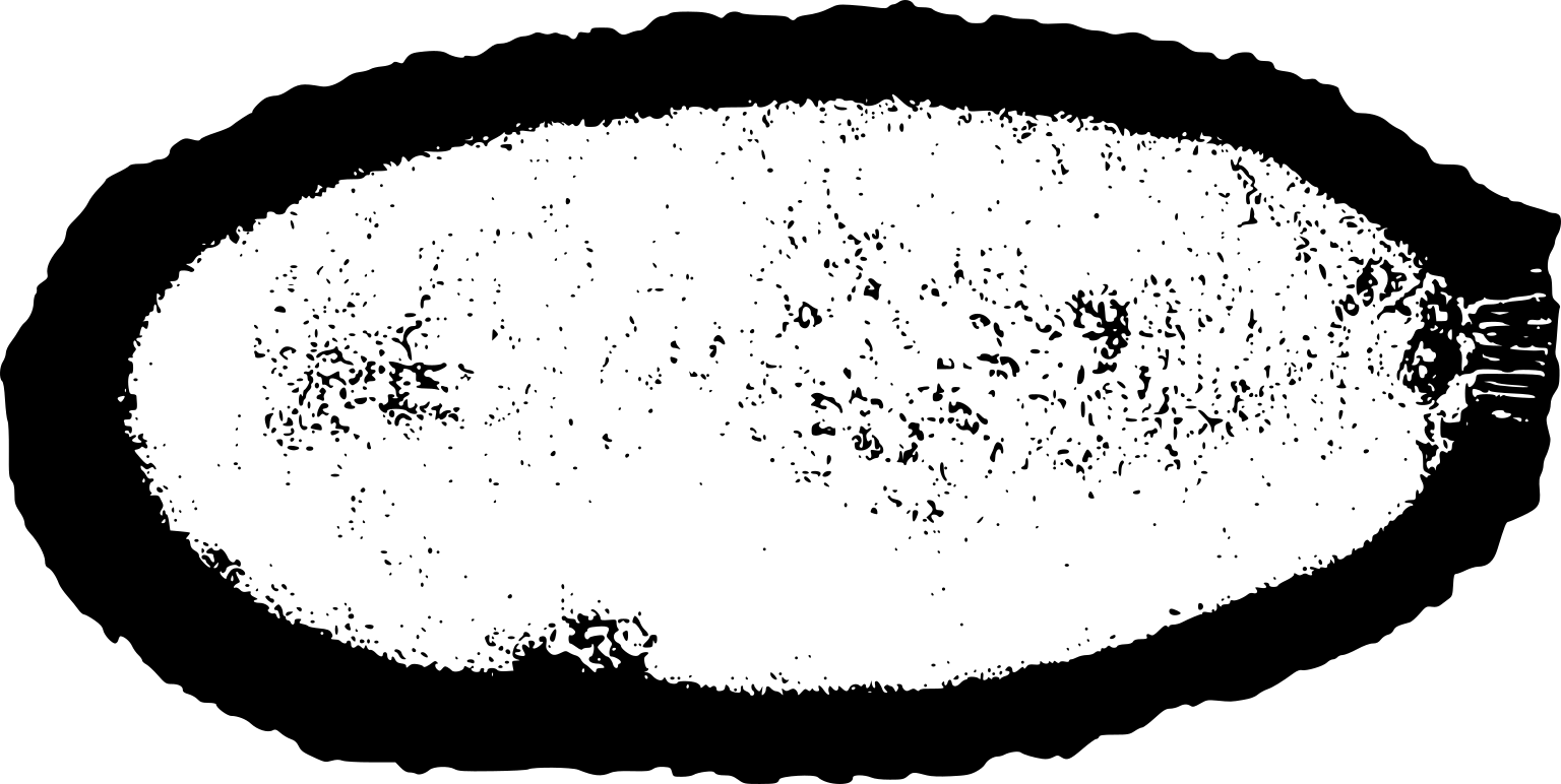 Pithovirus sibericum