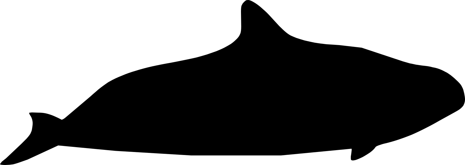 Phocoena dalli