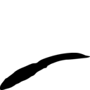 Tupilakosaurus wetlugensis