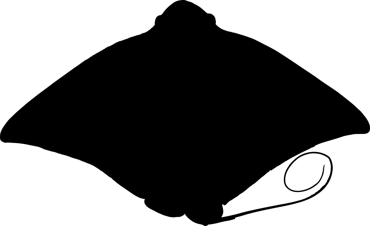 Myliobatis chilensis