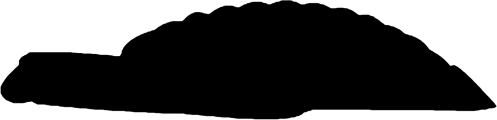 Yunnanozoon lividum