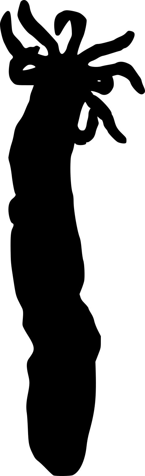 Rhabdomolgus ruber