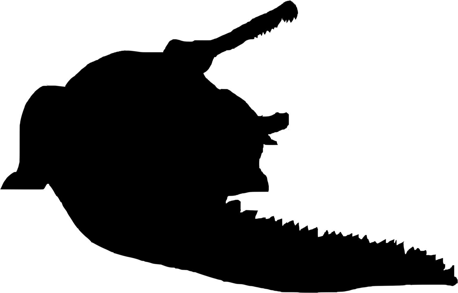 Terminonaris robusta