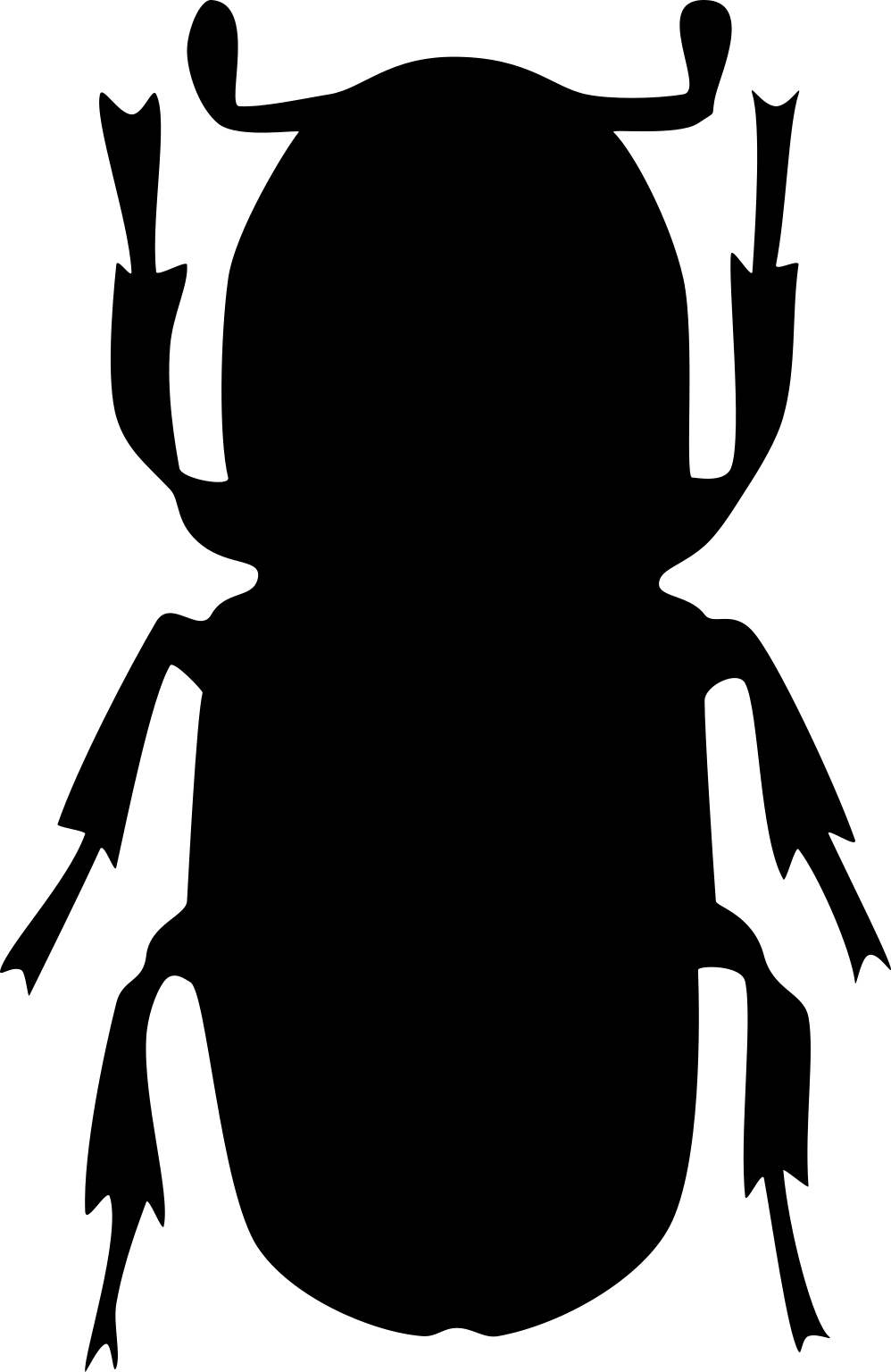 Ips typographus