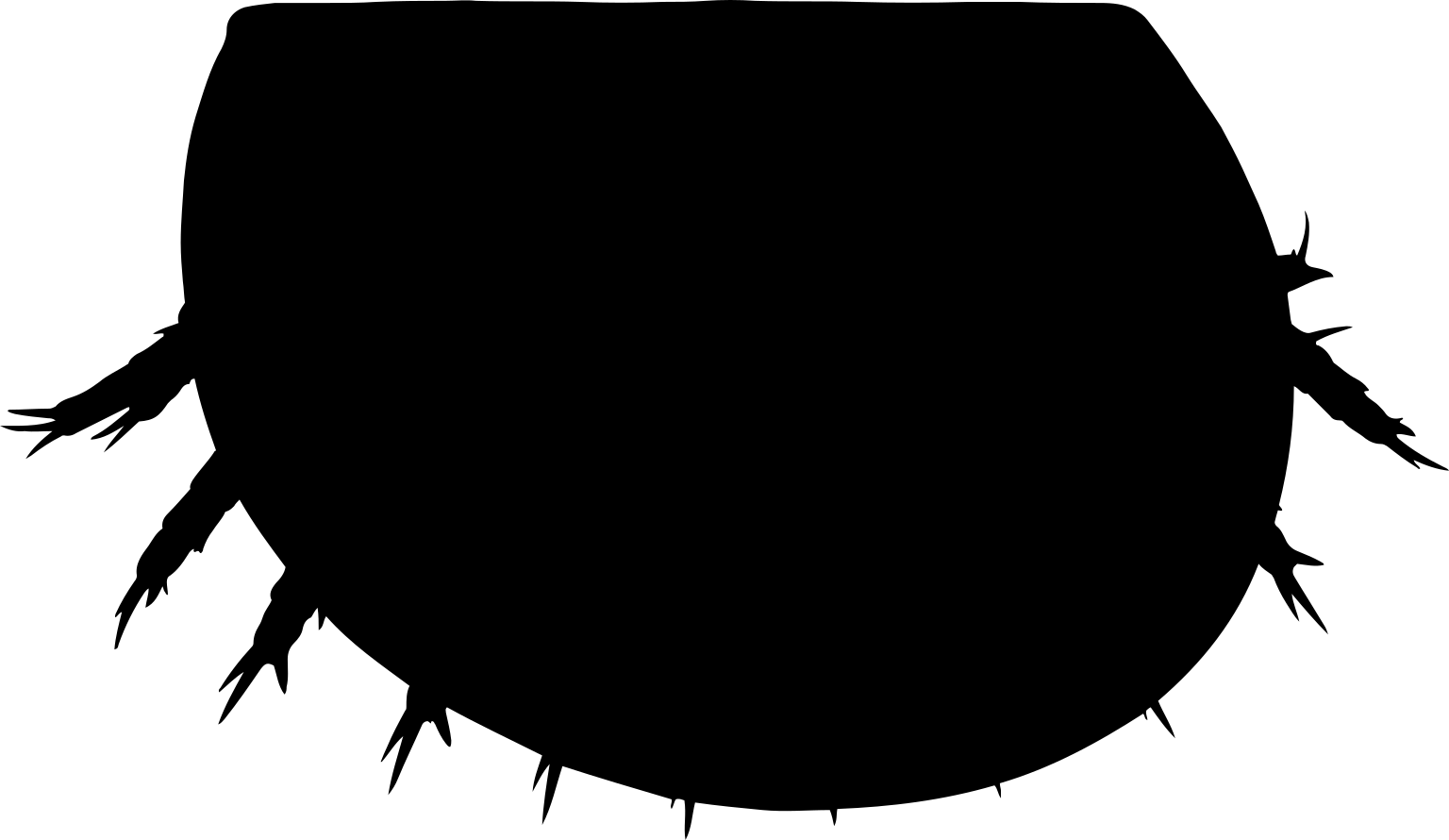 Liangshanella