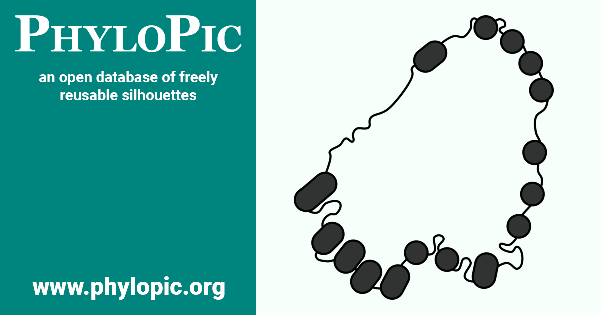 Dictyoglomi PhyloPic