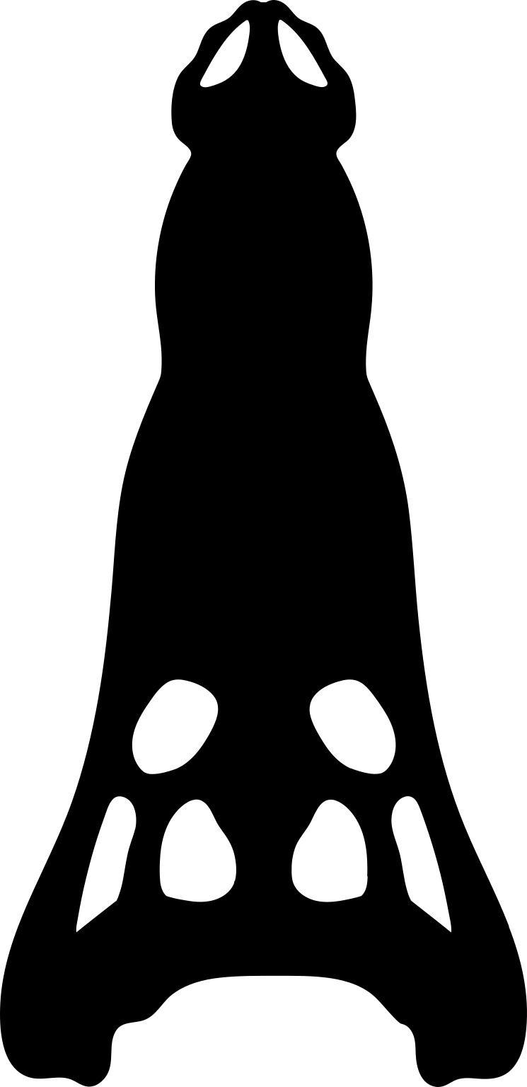 Hamadasuchus
