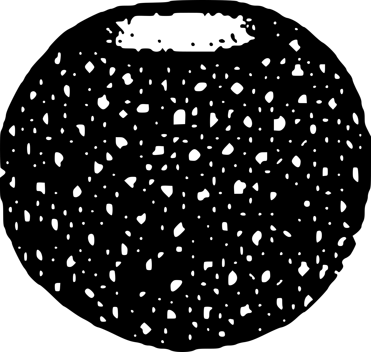 Crumillospongia