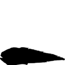 Acanthonus armatus
