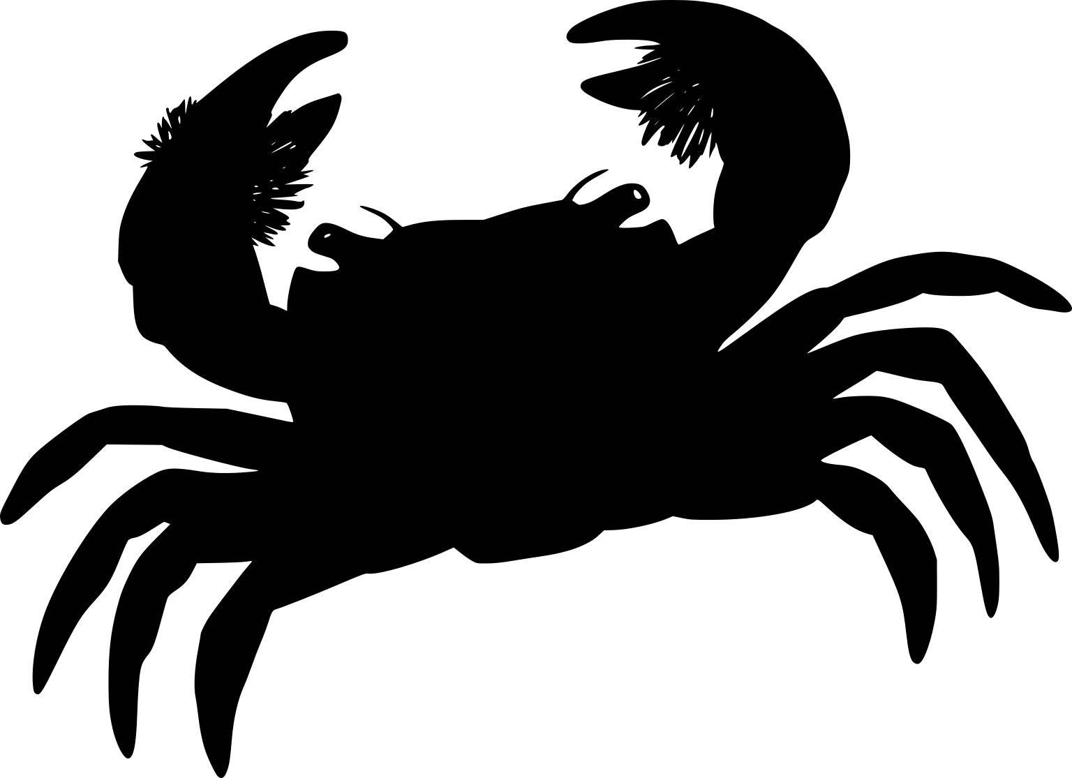 Hemigrapsus takanoi
