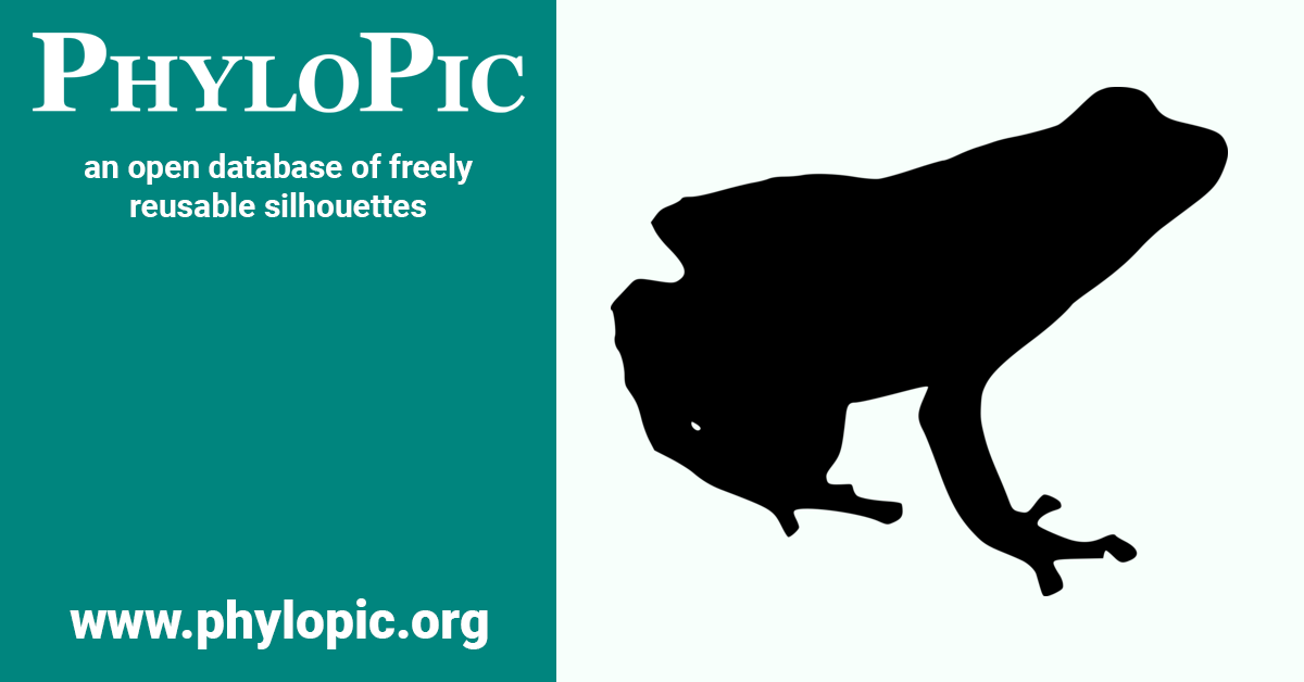 Micrixalus elegans (CC0 1.0) PhyloPic