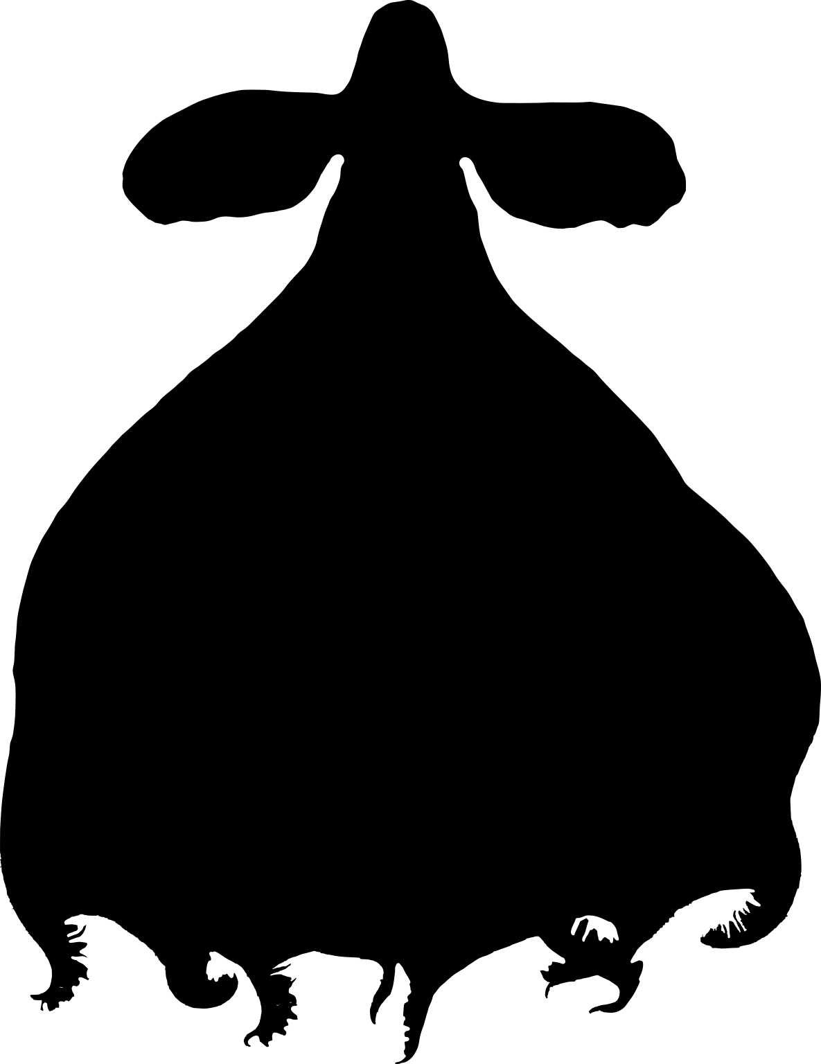 Cirrothauma murrayi
