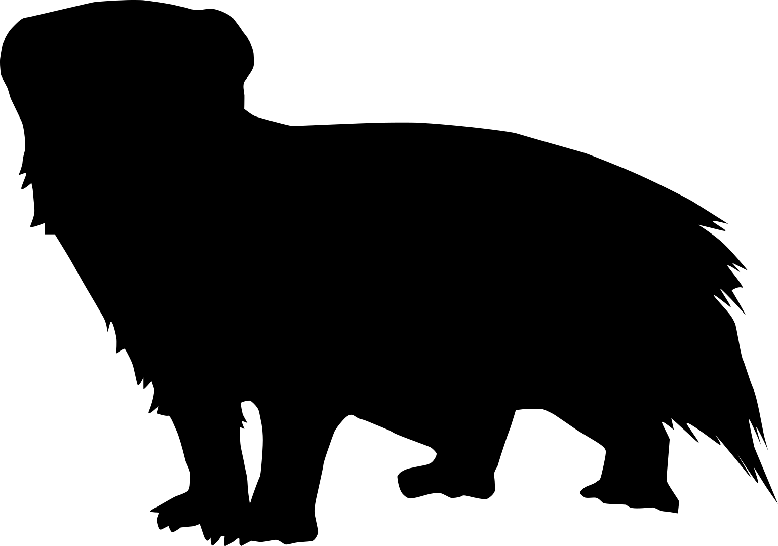 Galictis cuja