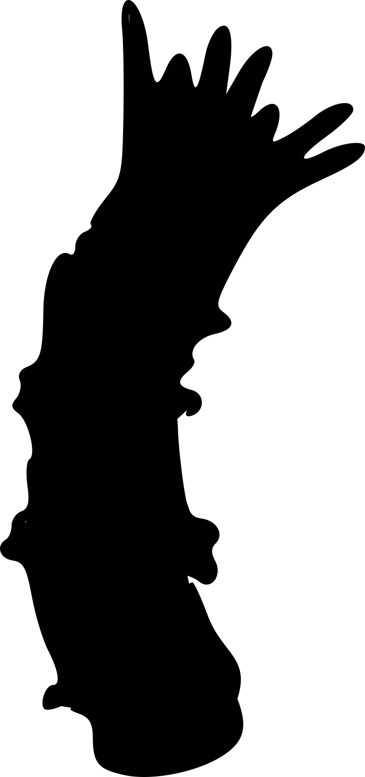 Branchiobdella