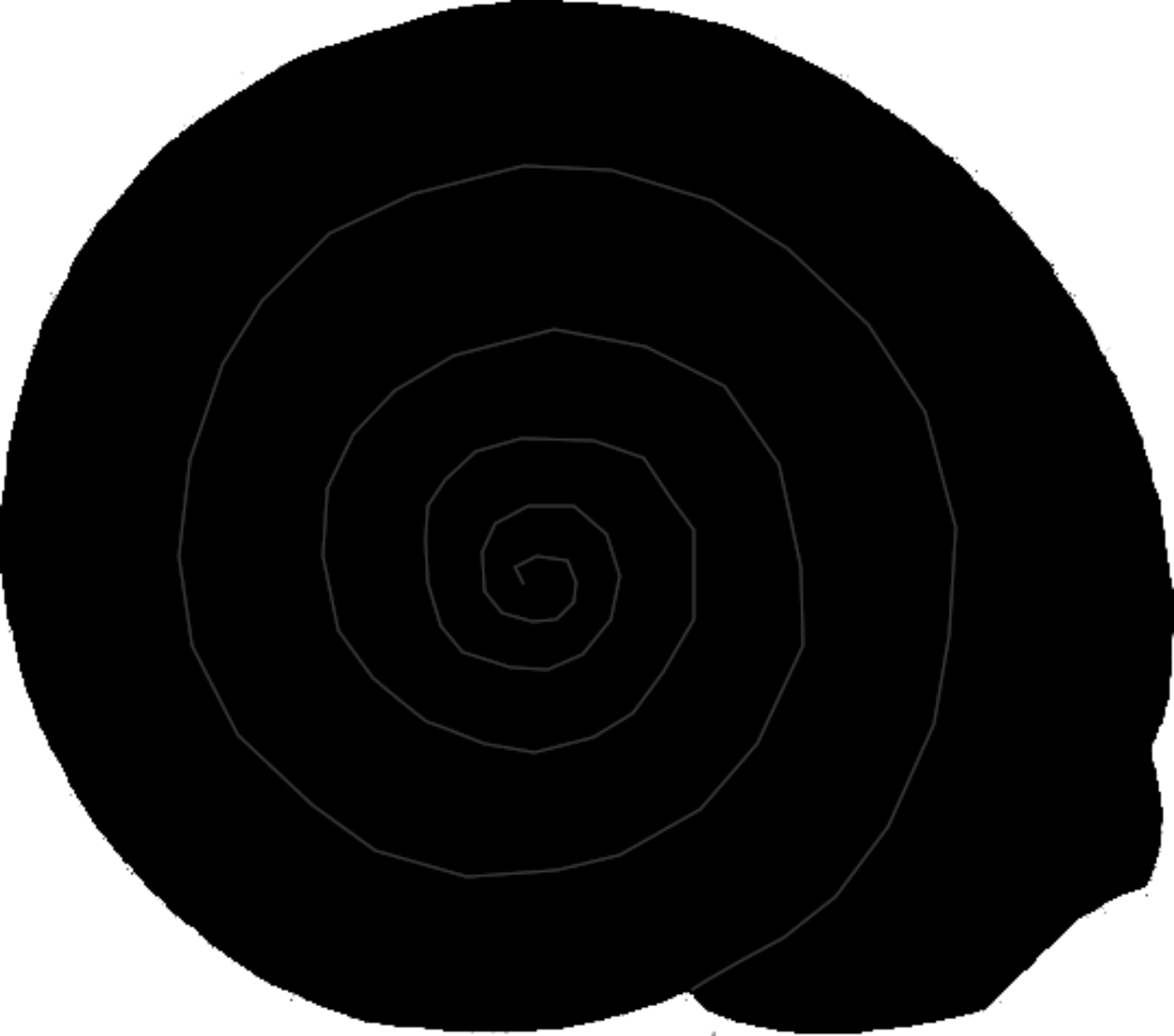 Arianta arbustorum alpicola