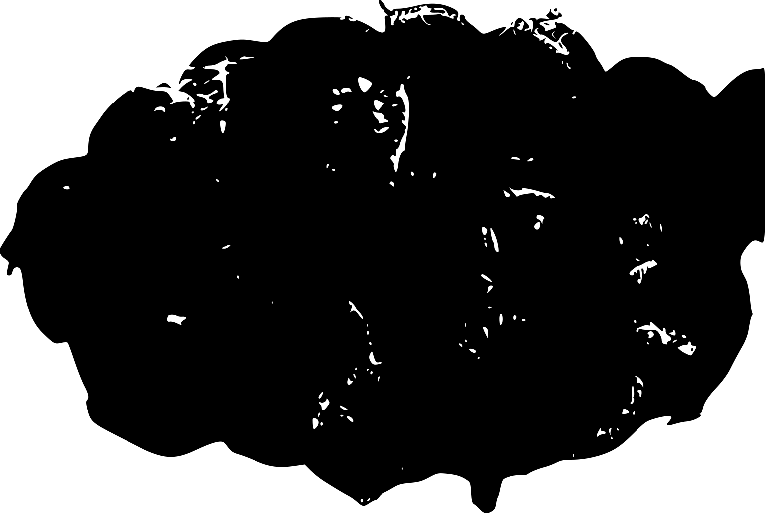 Morus nigra