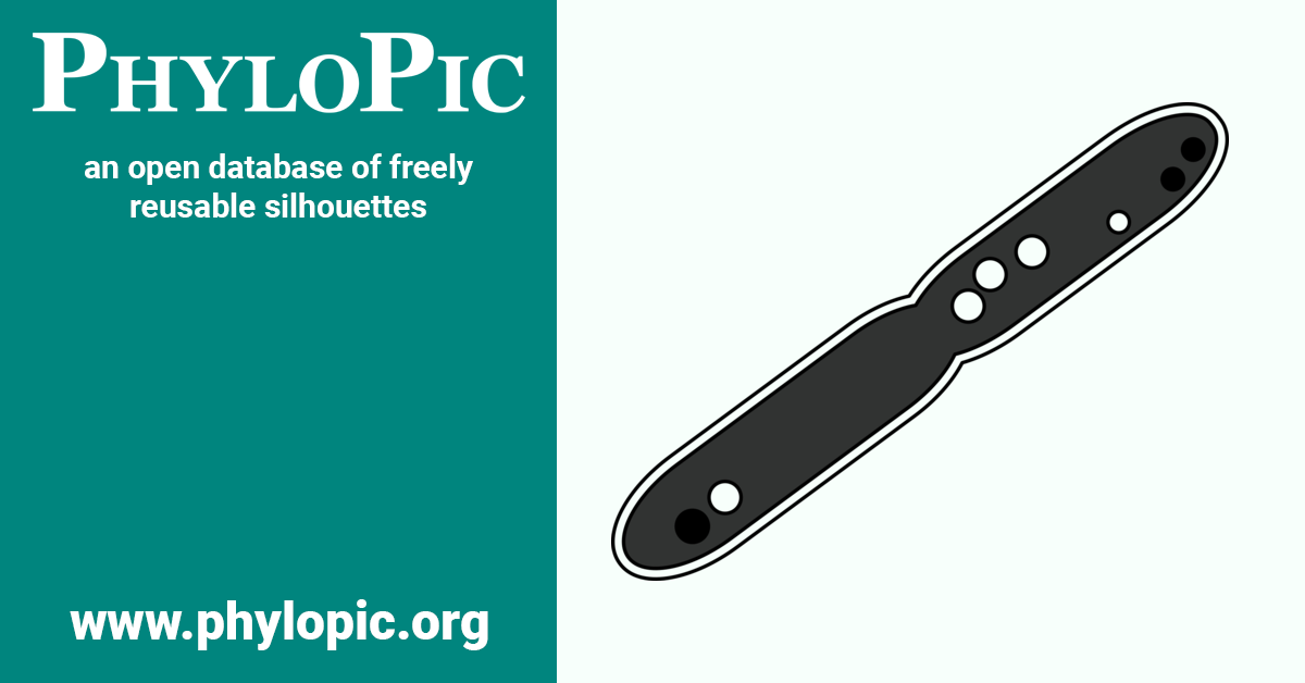 Nitriliruptor alkaliphilus by Matt Crook (CC BYSA 3.0) PhyloPic