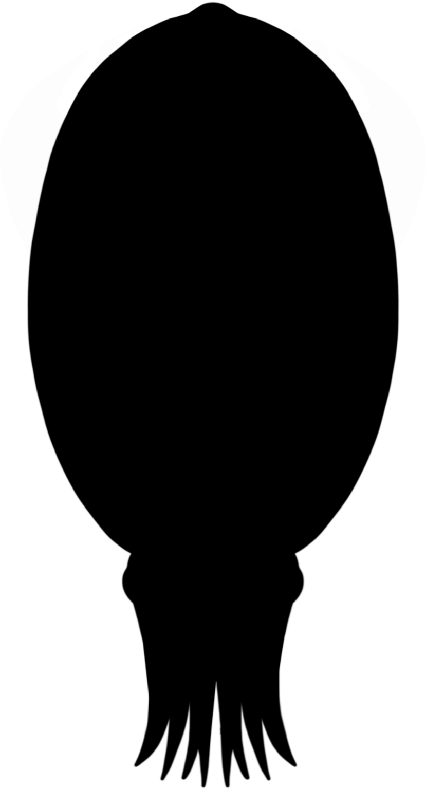 Muensterella scutellaris