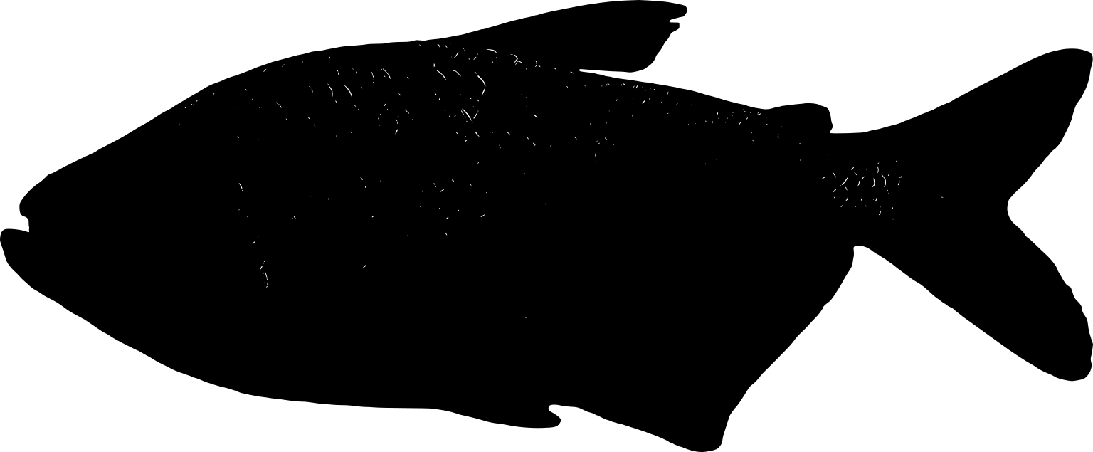 Astyanax bimaculatus
