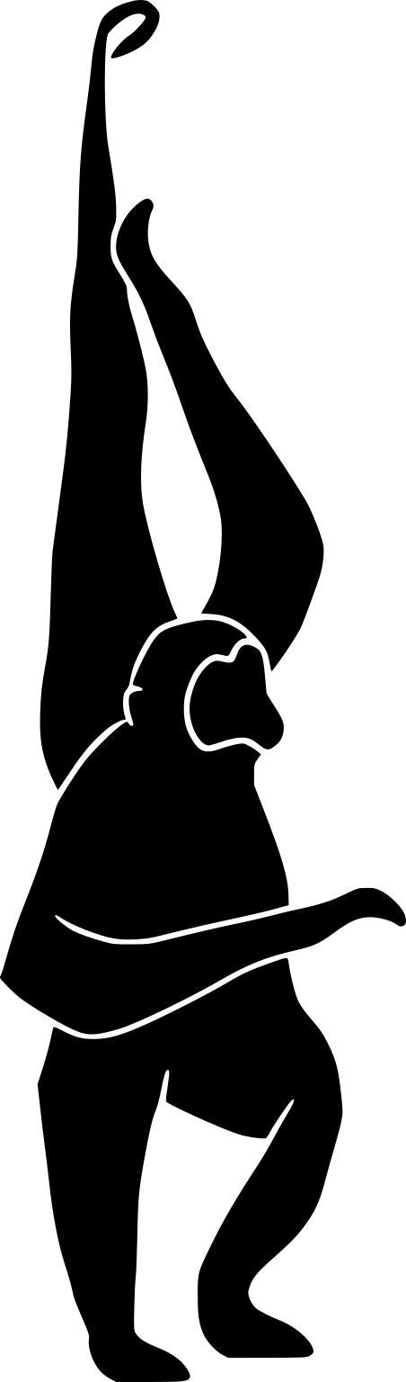 Ateles paniscus