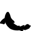 Sauripterus taylori