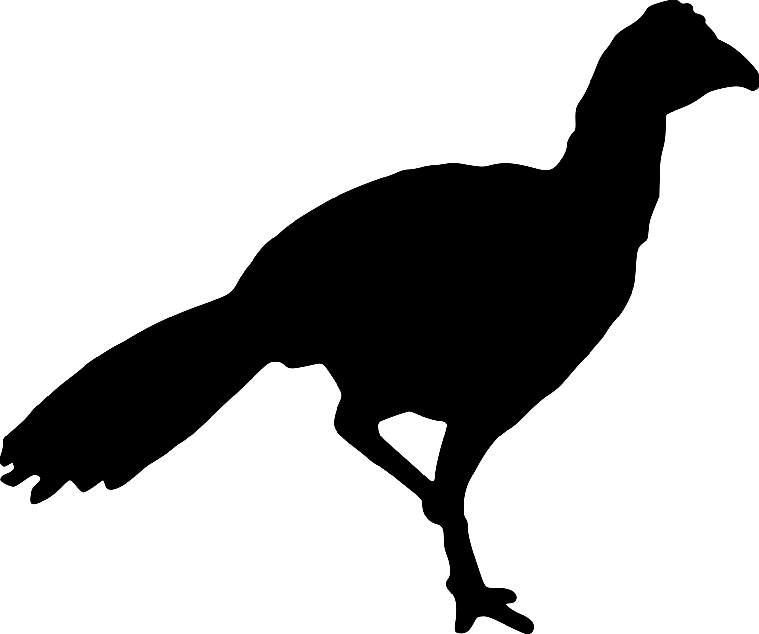 Crax alector