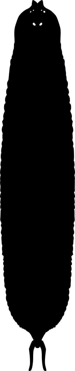 Tanazios dokeron