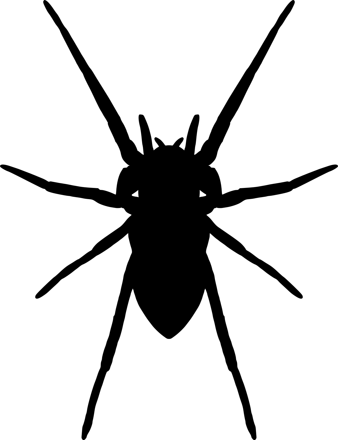 Rabidosa rabida