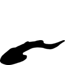 Ateleaspis tessellata
