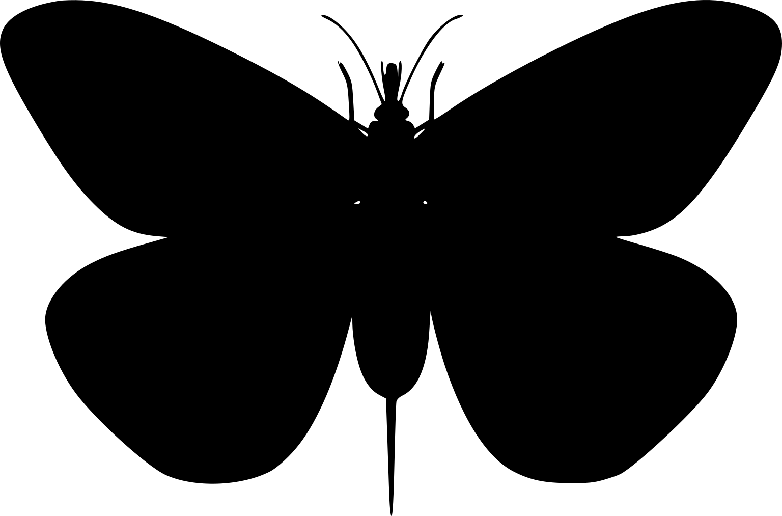Kalligramma haeckeli