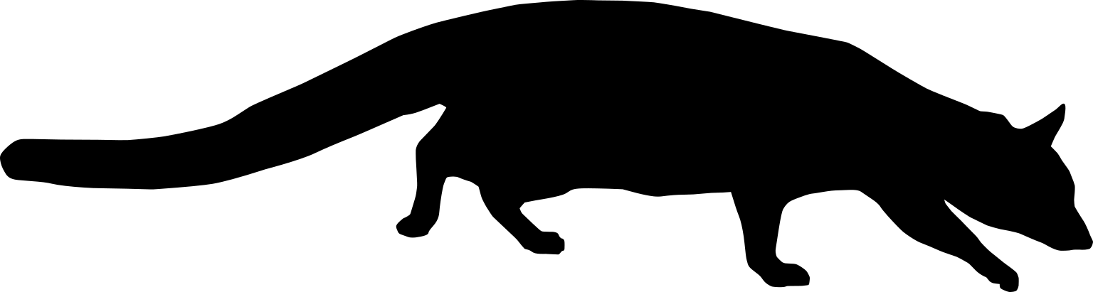 Genetta maculata
