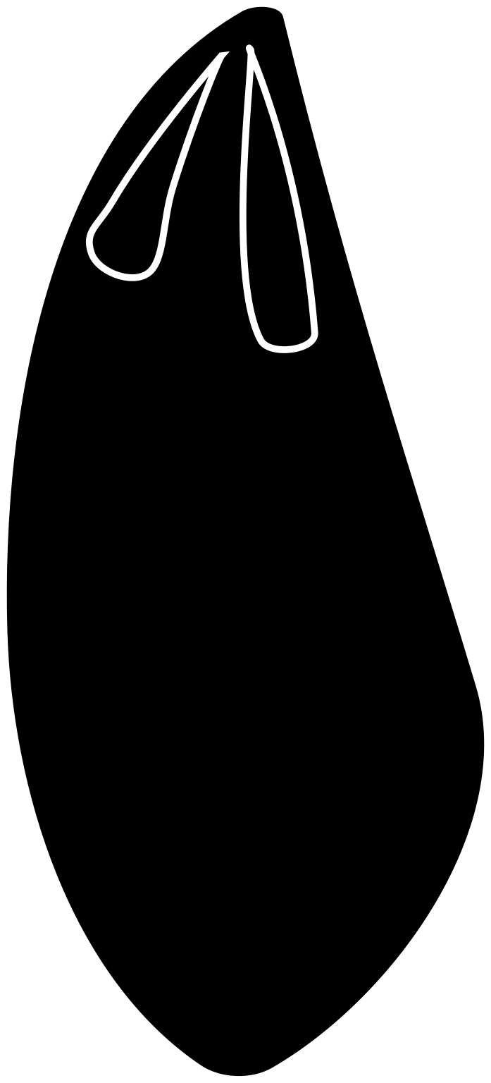 Toxoplasma gondii
