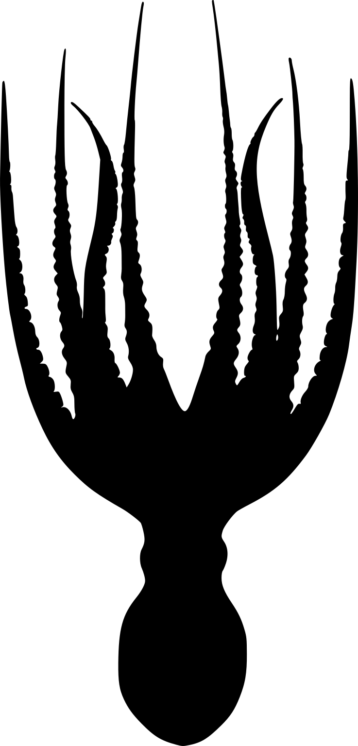 Amphioctopus arenicola
