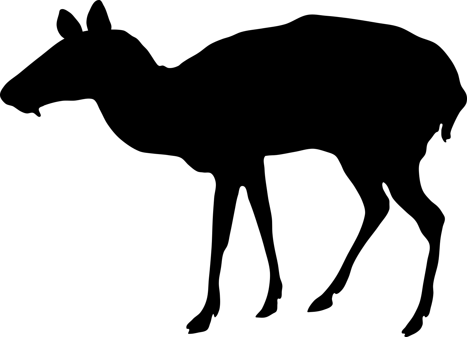 Blastomeryx gemmifer