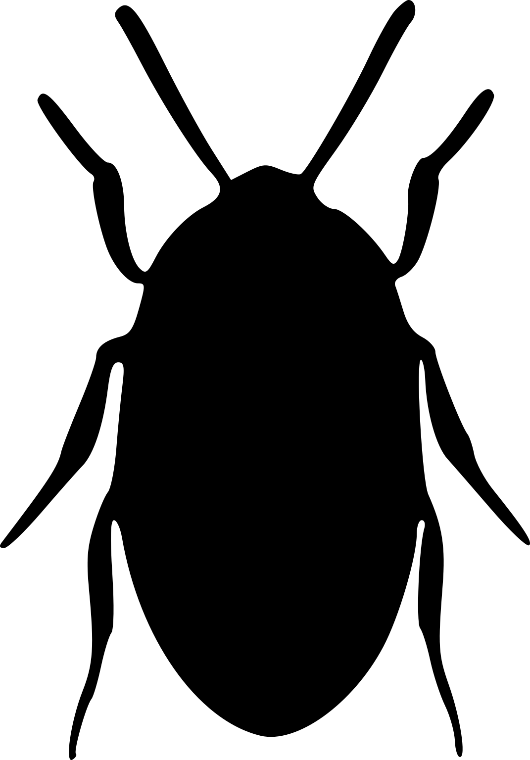 Archeocrypticus