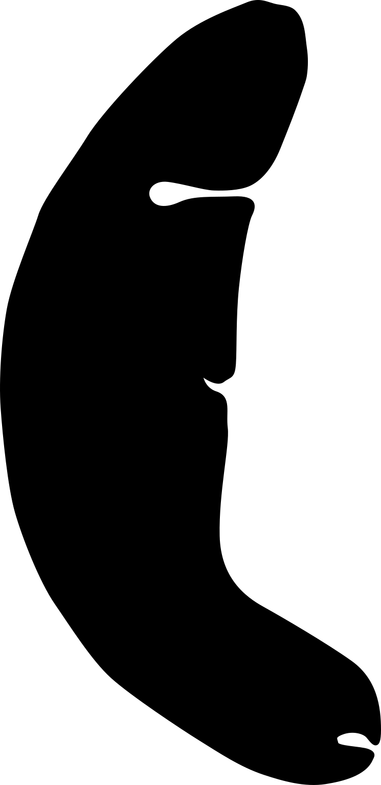 Childia dubium