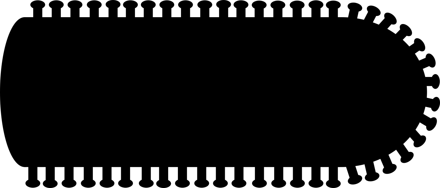 Rabies lyssavirus