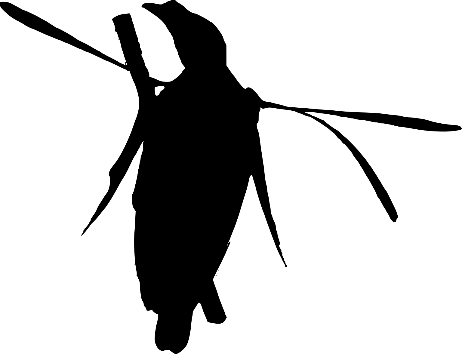 Semioptera wallacii