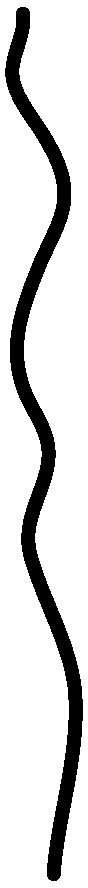 Treponema denticola