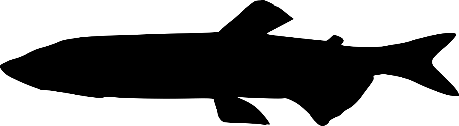 Mallotus villosus