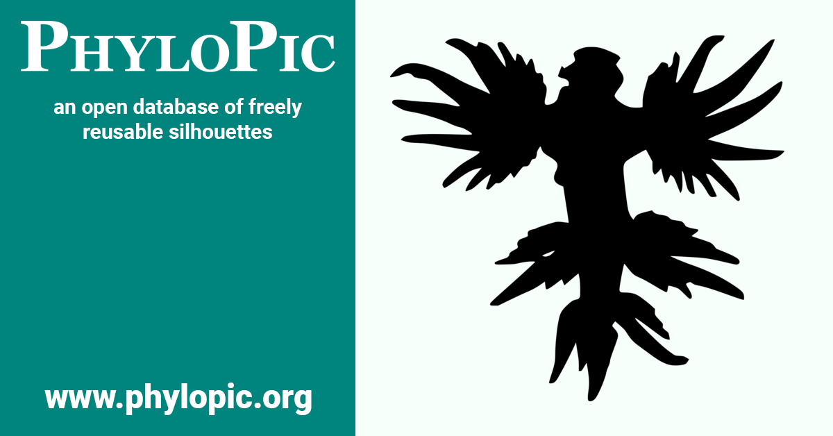 Glaucus atlanticus (CC0 1.0) - PhyloPic