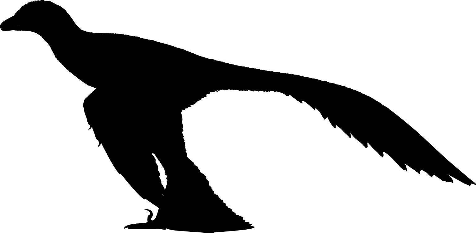 Changzhousaurus sinensis