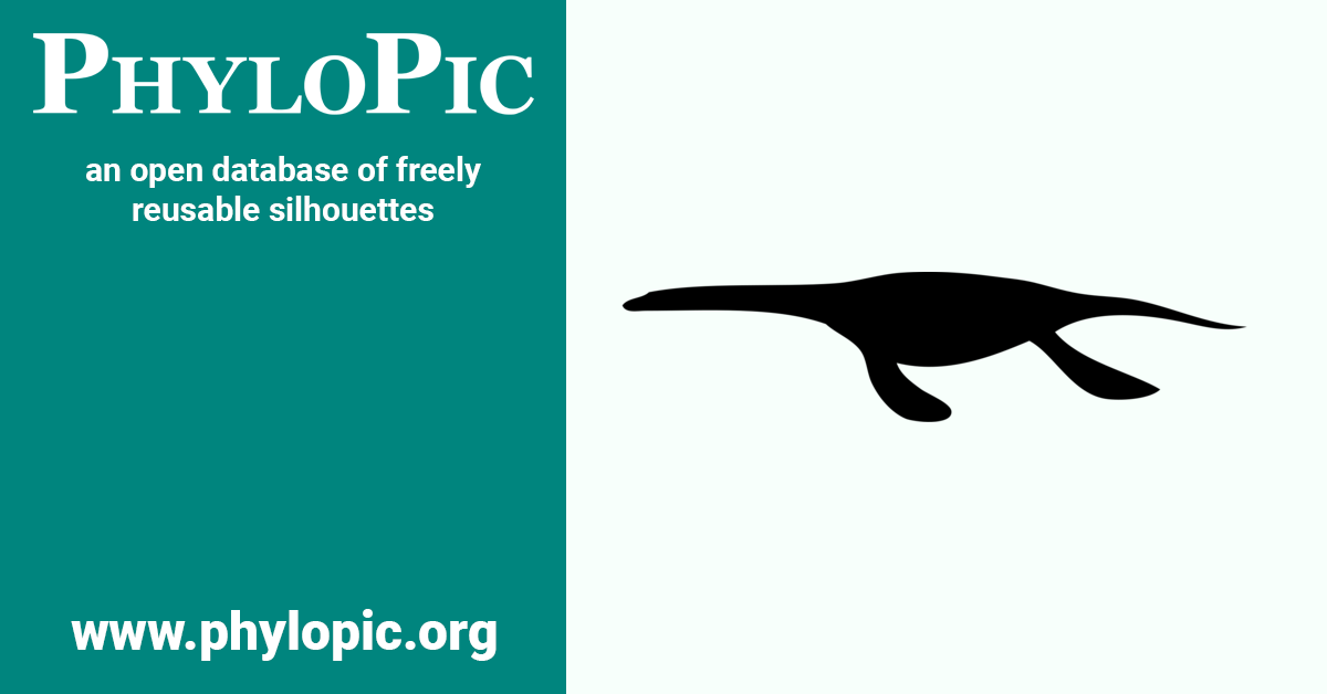 Pistosaurus longaevus by Nobu Tamura (vectorized by T. Michael Keesey