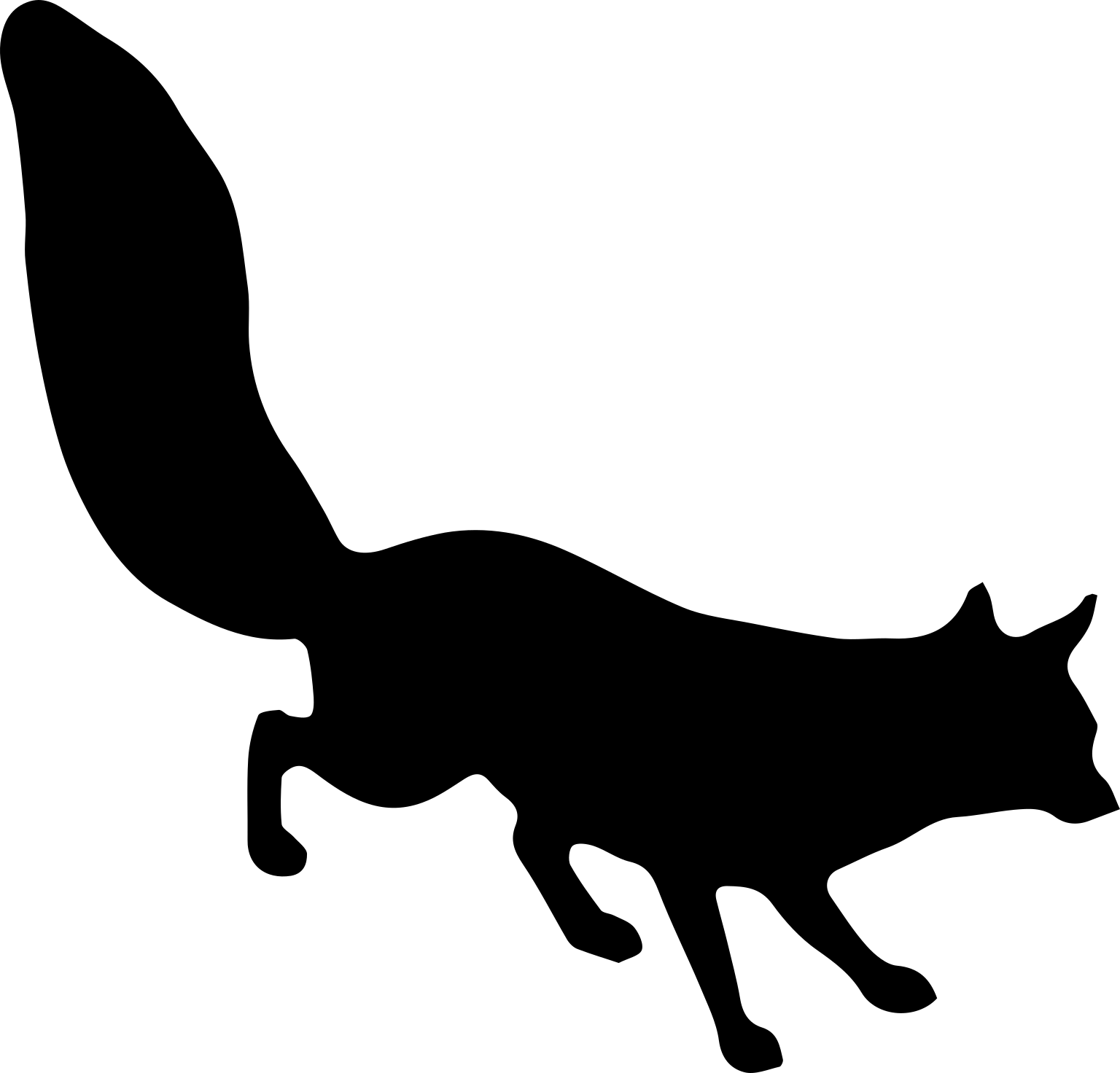 Lycalopex vetulus